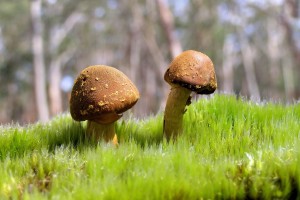 三指操作还是四指：手游电竞的手部极限，三指职业选手键位